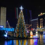 елха луковит