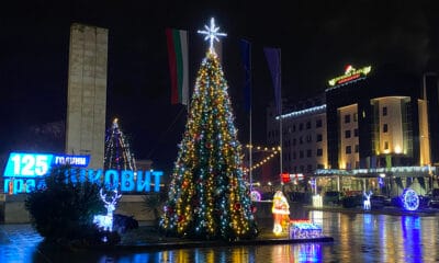 елха луковит