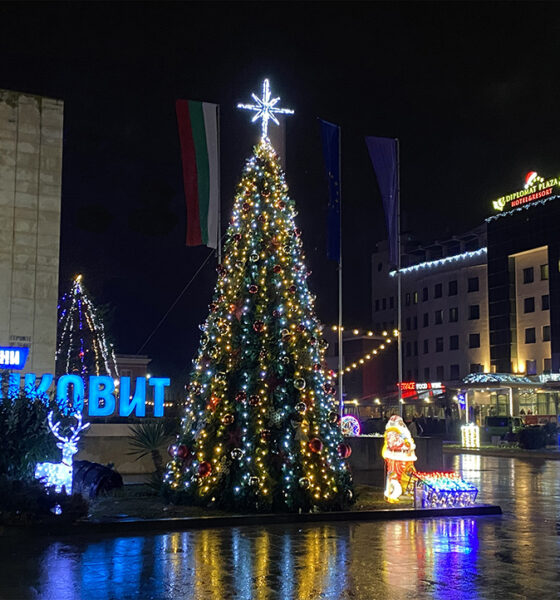 елха луковит