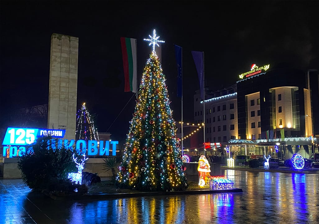 елха луковит