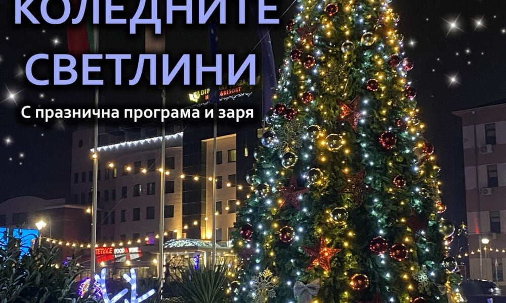 коледна елха луковит