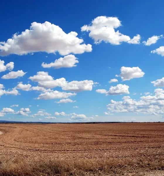 слънчева неделя с температури до 12 градуса – прогноза за времето в България
