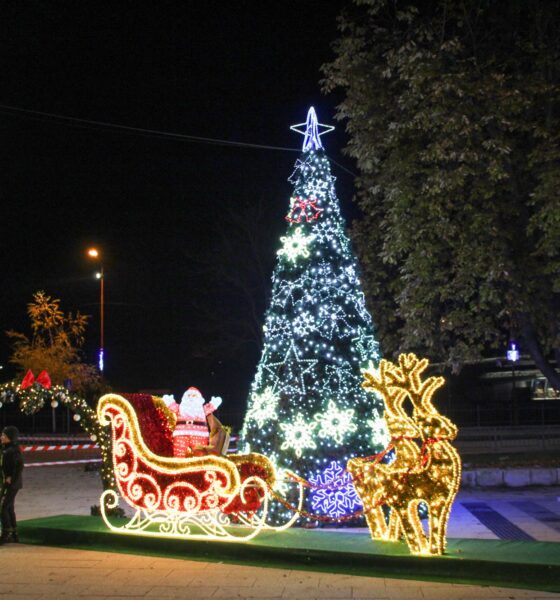 ГРЕЙНА КОЛЕДНАТА ЕЛХА В ТЕТЕВЕН