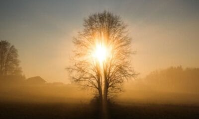 Прогноза за времето за 15 декември в България