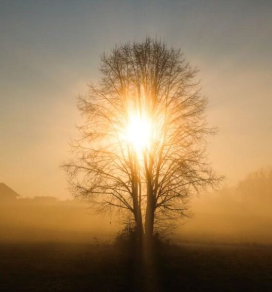 Прогноза за времето за 15 декември в България