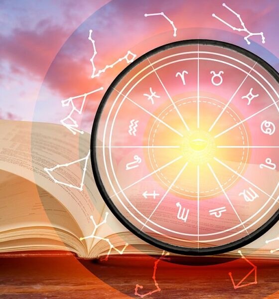 дневен хороскоп 12 декември