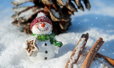 ще има ли сняг за коледа