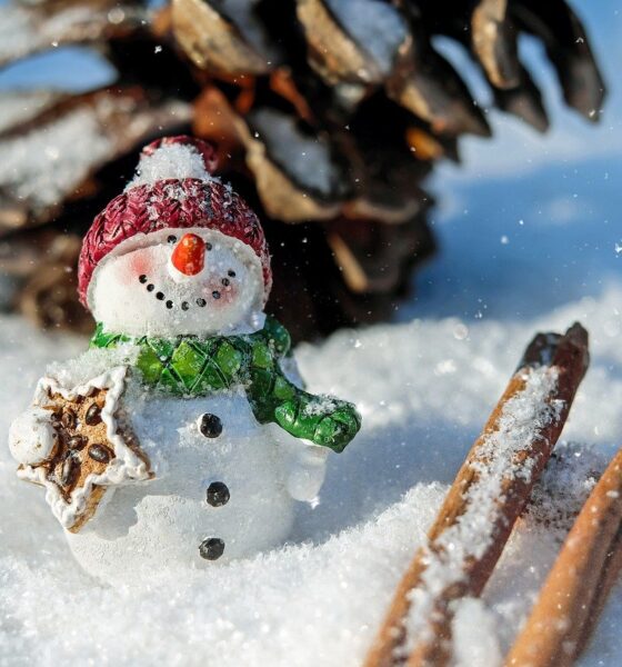 ще има ли сняг за коледа