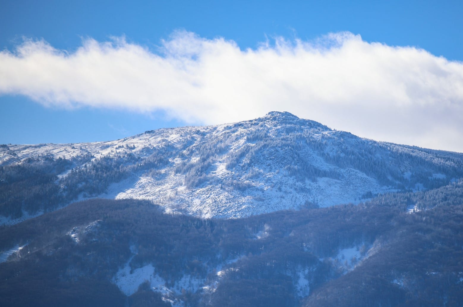 ВРЕМЕТО ДНЕС, 7 ДЕКЕМВРИ