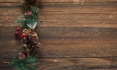 Празнична коледна програма червен бряг