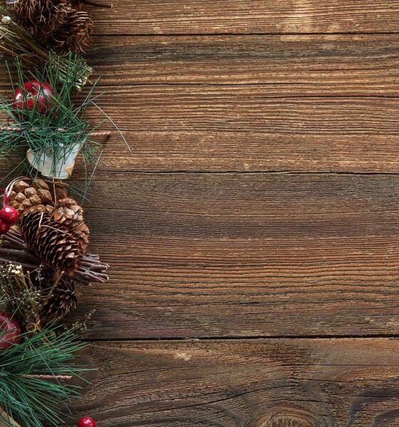 Празнична коледна програма червен бряг