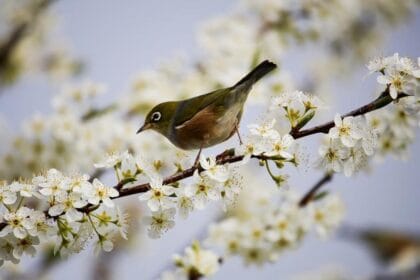 Прогноза за времето 16 март