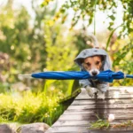 Времето 1 април 2026 България