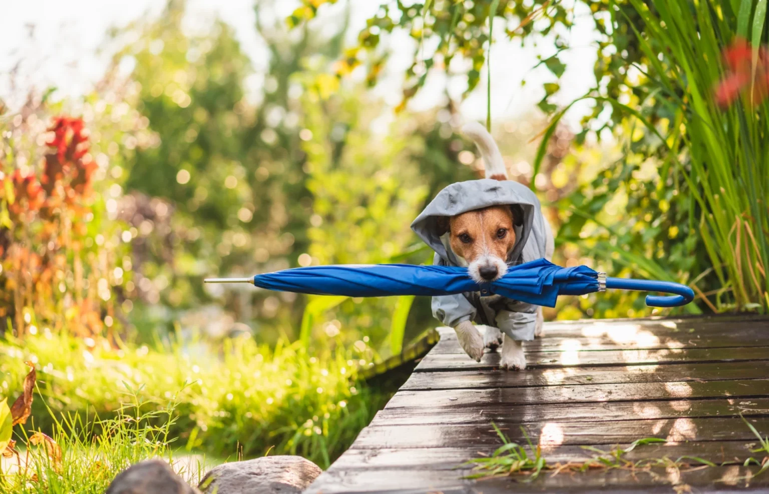 Времето 1 април 2026 България