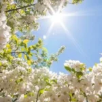 прогноза за времето 6 април 2026