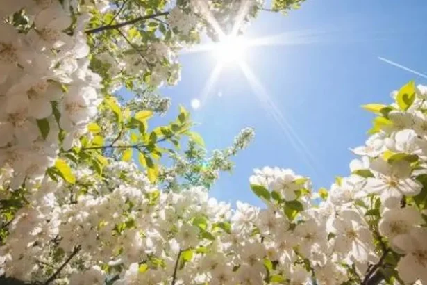 прогноза за времето 6 април 2026