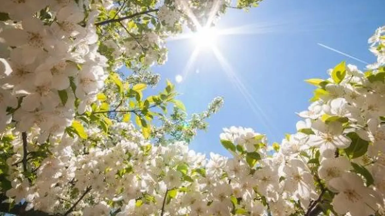 прогноза за времето 6 април 2026