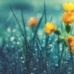 кога ще спре да вали канал7