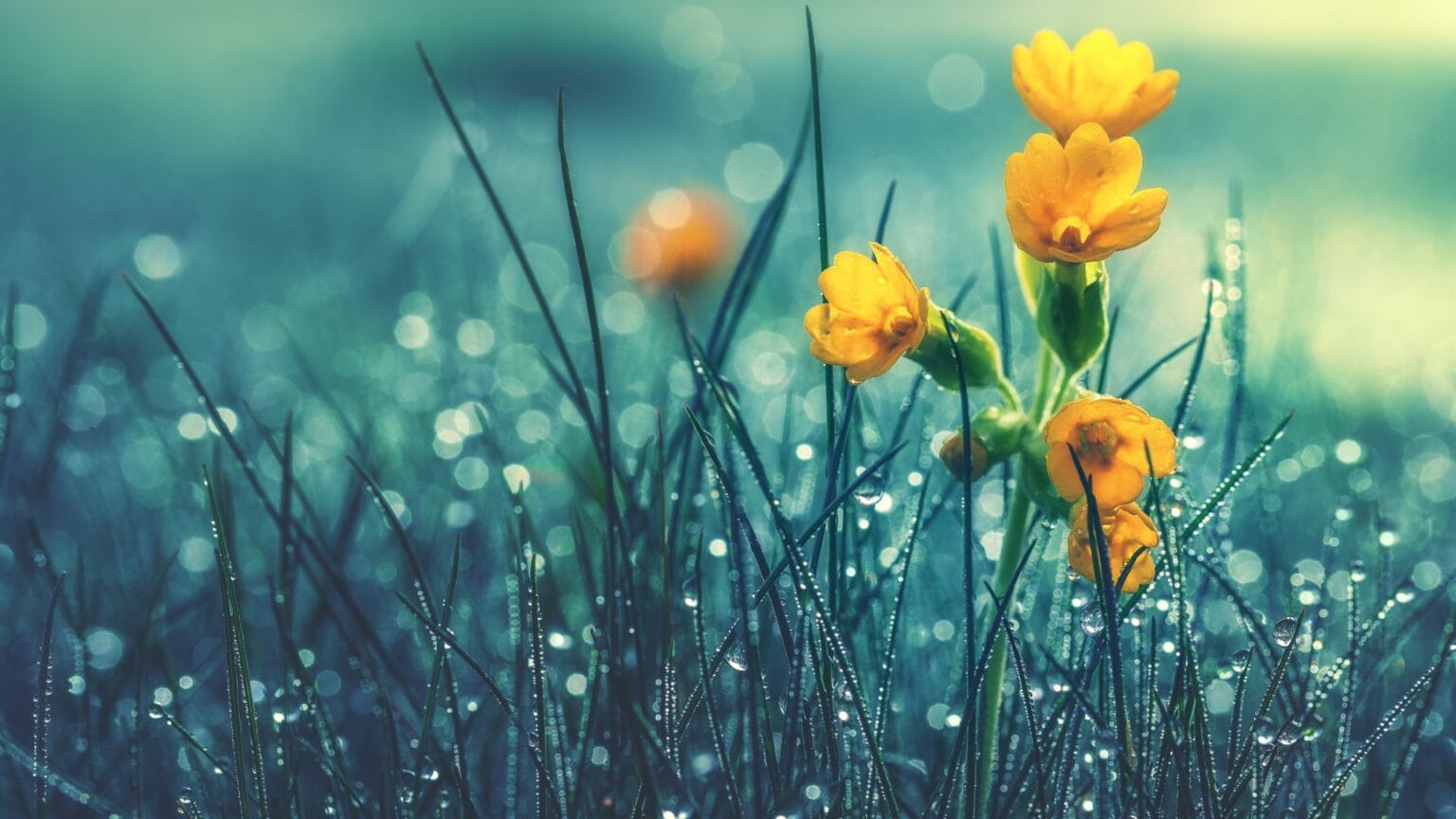 кога ще спре да вали канал7