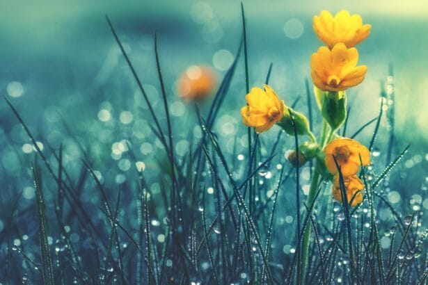 кога ще спре да вали канал7