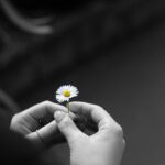 Дневен хороскоп днес зодии