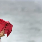 Жълт код за силен вятър в 6 области: Температури до 20° | Канал 7