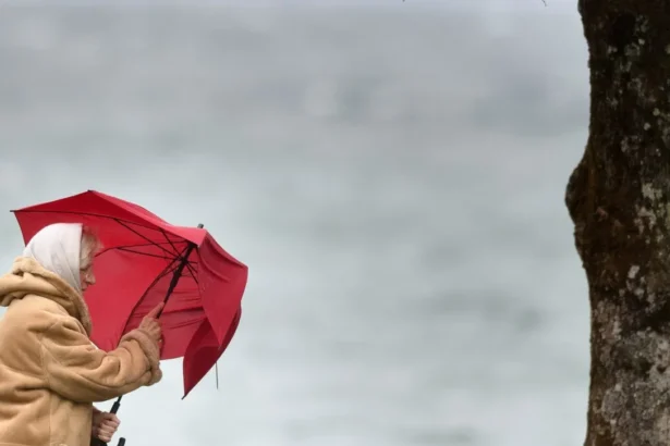 Жълт код за силен вятър в 6 области: Температури до 20° | Канал 7