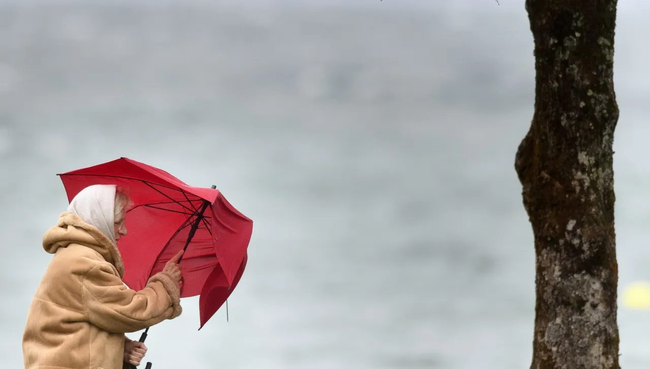 Жълт код за силен вятър в 6 области: Температури до 20° | Канал 7