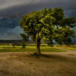 Жълт код за вятър в неделя: Температури до 28° - KANAL7