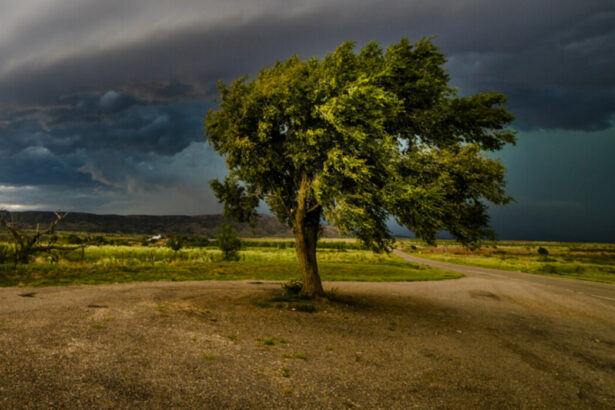 Жълт код за вятър в неделя: Температури до 28° - KANAL7