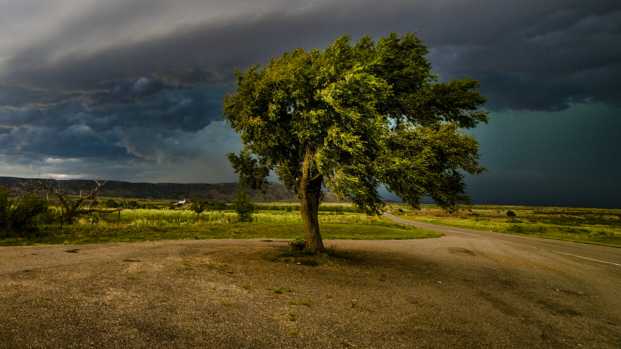 Жълт код за вятър в неделя: Температури до 28° - KANAL7