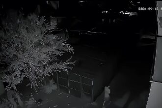 Издирва се младеж от Червен бряг – кадър от охранителна камера