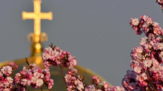 Пелагия и Пелагея