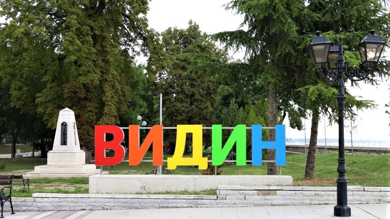 Видин